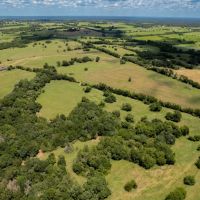Cedar Hill Ranch images 4