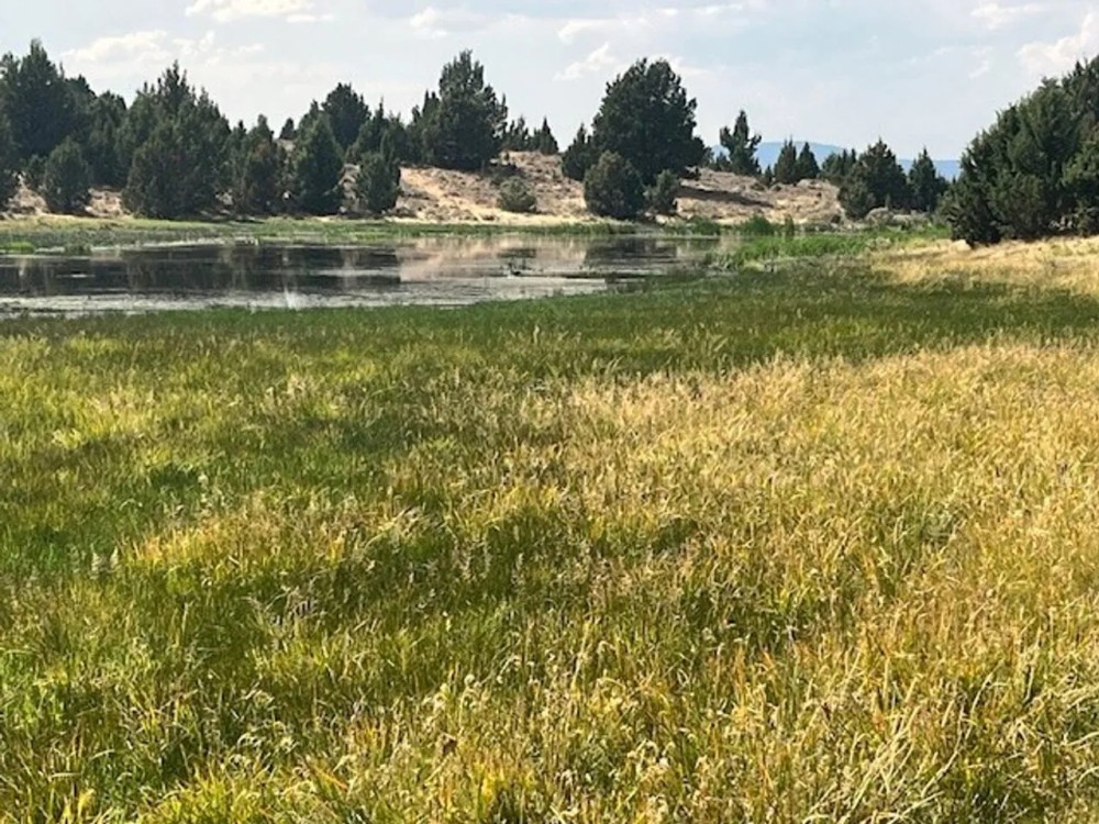 Thomas Ranch Mitchell OR featured image