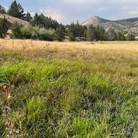 Thomas Ranch Mitchell OR images 2