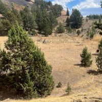 Thomas Ranch Mitchell OR images 3
