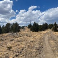 Thomas Ranch Mitchell OR images 5