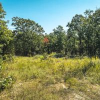 Long Valley Acres images 2