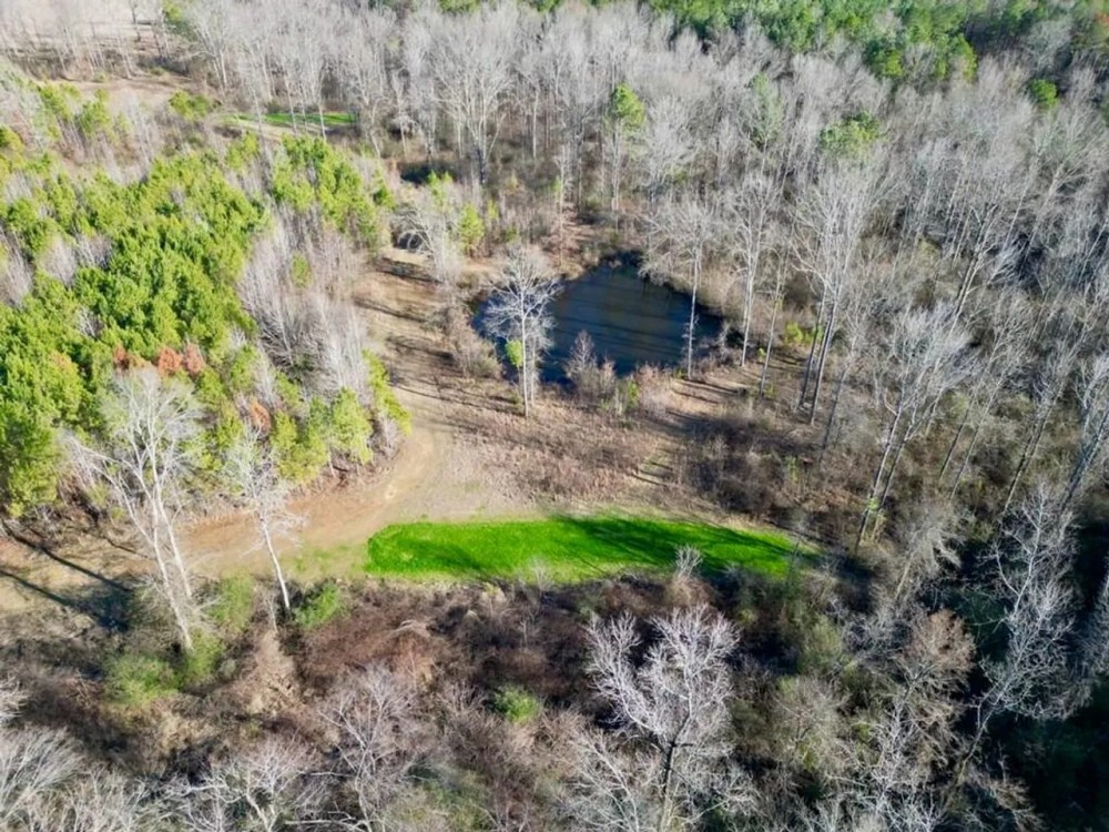 Small Hunting Property in Jefferson County MS featured image