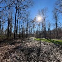 Small Hunting Property in Jefferson County MS images 4