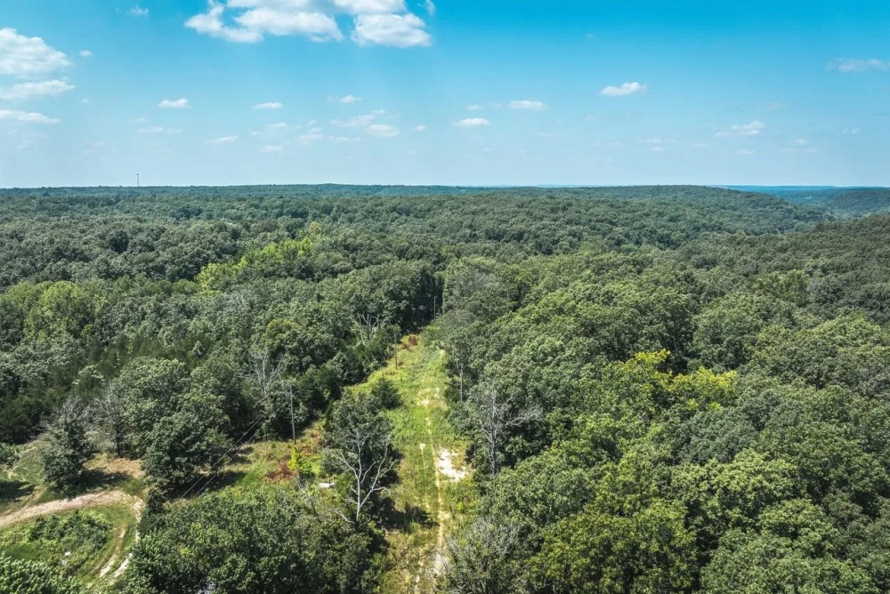 Raceway Acres featured image