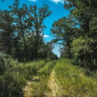 Raceway Acres images 2