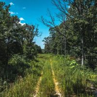 Raceway Acres images 3