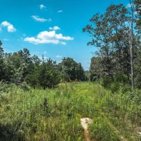 Raceway Acres images 4