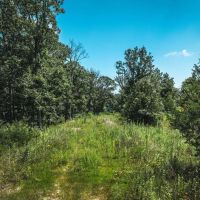 Raceway Acres images 5
