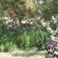 Large Hunting Lease