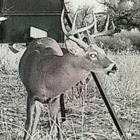 Image000000-3