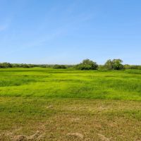 83-Acre Farm Ranch in Odem TX for Sale images 3