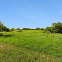 83-Acre Farm Ranch in Odem TX for Sale images 4