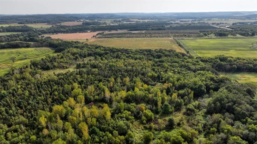 Exceptional 80 - Acre Property Located in Trempealeau County Wisconsin featured image