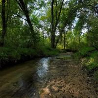 Exceptional 80 - Acre Property Located in Trempealeau County Wisconsin images 2