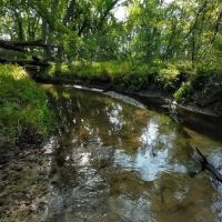 Exceptional 80 - Acre Property Located in Trempealeau County Wisconsin images 3