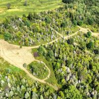 Exceptional 80 - Acre Property Located in Trempealeau County Wisconsin images 4