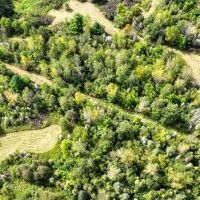 Exceptional 80 - Acre Property Located in Trempealeau County Wisconsin images 5