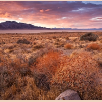 800,000 acres Black Rock-High Rock Area deer hunting land in Winnemucca, NV images 3