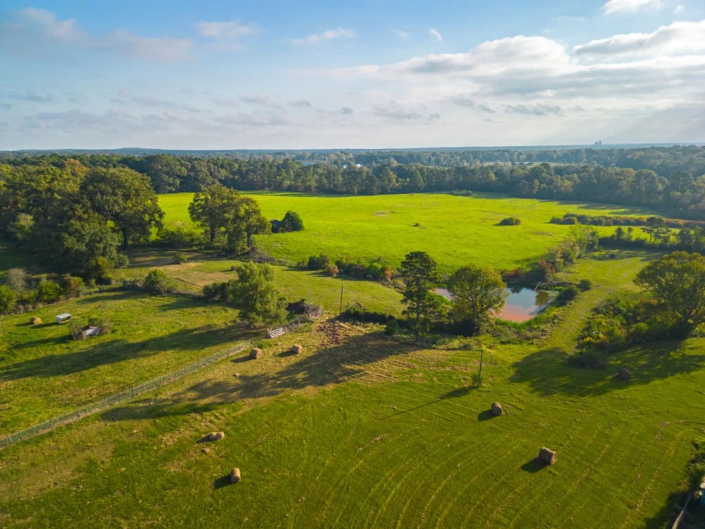 Last Stand Ranch featured image