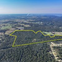 134 Acres FM 1375 images 2