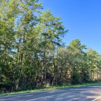 134 Acres FM 1375 images 3