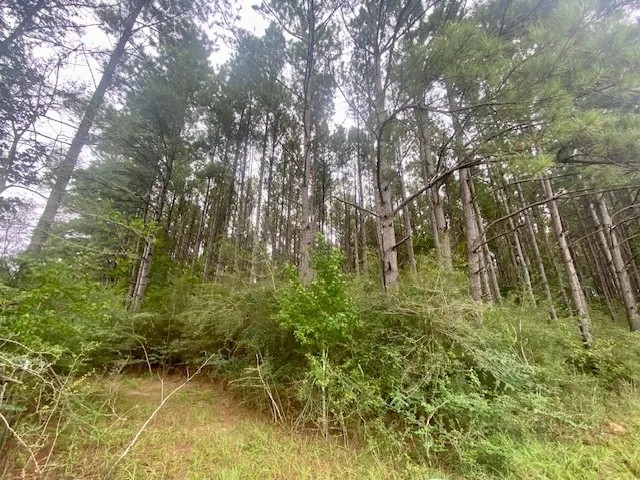 36 acres Airlne Hwy Walthall Co. featured image