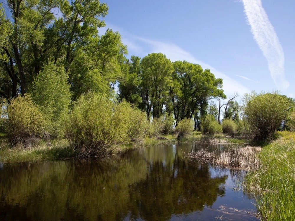 Saratoga North Platte River Ranch featured image