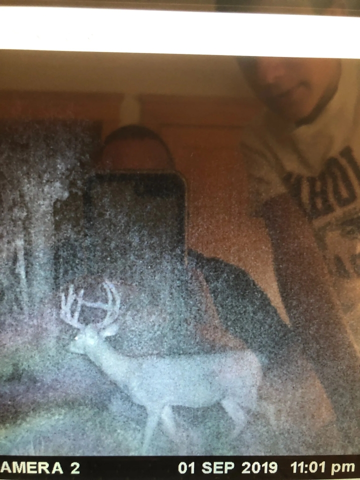 71 Acre Parcel with Tillable Portion Gratiot County MI Hunting Land