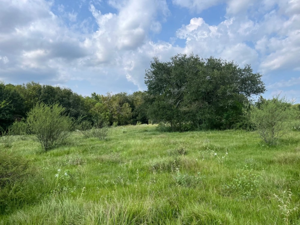 Stockton Ranch featured image