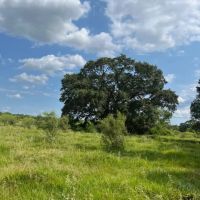 Stockton Ranch images 2