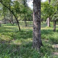 Stockton Ranch images 4
