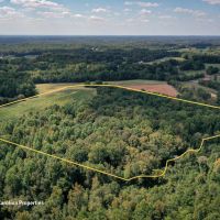 Rural Acreage and Homesite in Davie County NC images 2