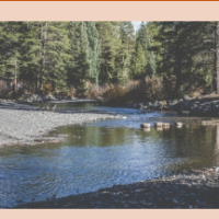 Slate River Rec Site 600 acre mule deer hunting land in Gunnison, CO images 2