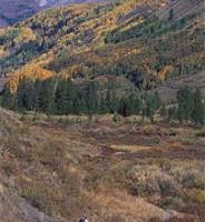 Slate River Rec Site 600 acre mule deer hunting land in Gunnison, CO images 5