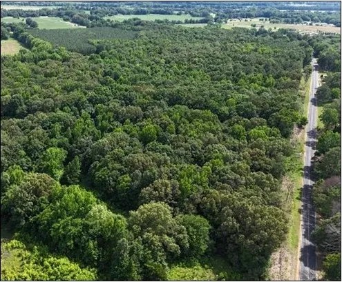 66 Acres in Panola County in Pope MS featured image