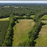 66 Acres in Panola County in Pope MS images 4