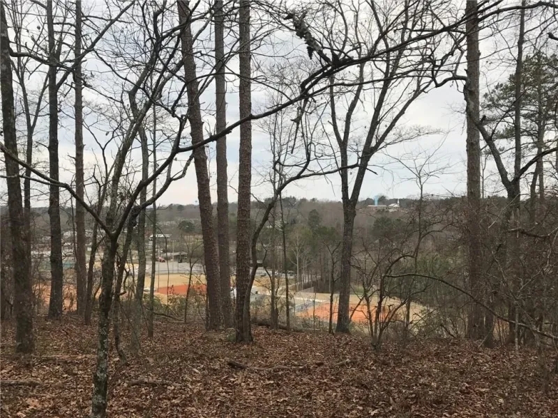 Land Tract Without Restrictions For Sale in Northwest GA Hunting Land