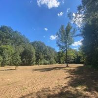 75 acres- Mature Timber- Salem School District
