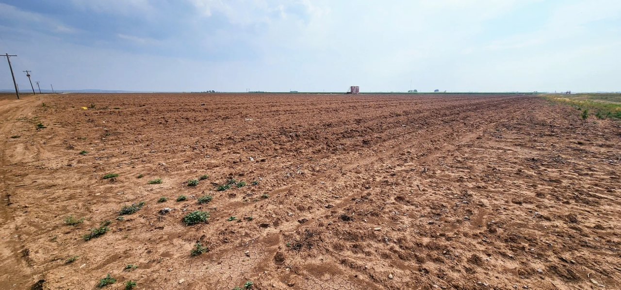 20 Acres of Farmland in Wall Texas Hunting Land for Sale