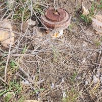 20 Acres of Farmland in Wall Texas images 2
