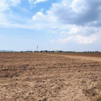 20 Acres of Farmland in Wall Texas images 4