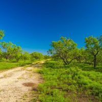 Lasater Ranch images 3