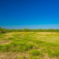Lasater Ranch images 4