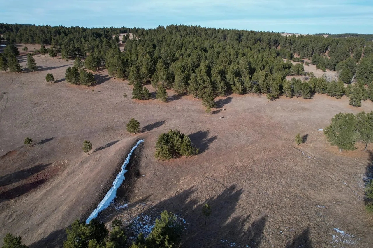 Black Hills 70 Hunting Land for Sale