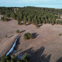 Black Hills 70