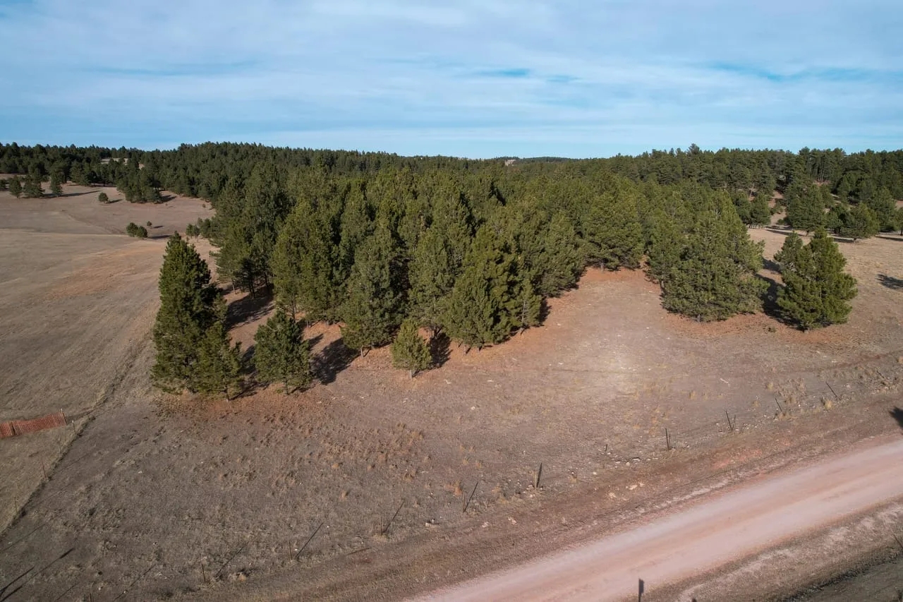 Black Hills 70 Hunting Land for Sale
