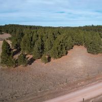 Black Hills 70 images 2