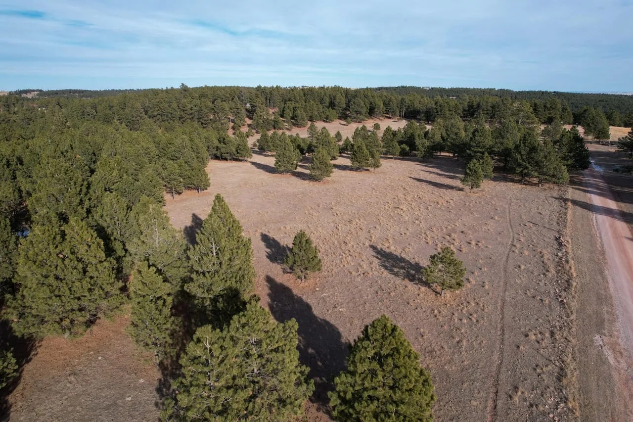 Black Hills 70 Hunting Land for Sale
