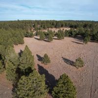 Black Hills 70 images 3